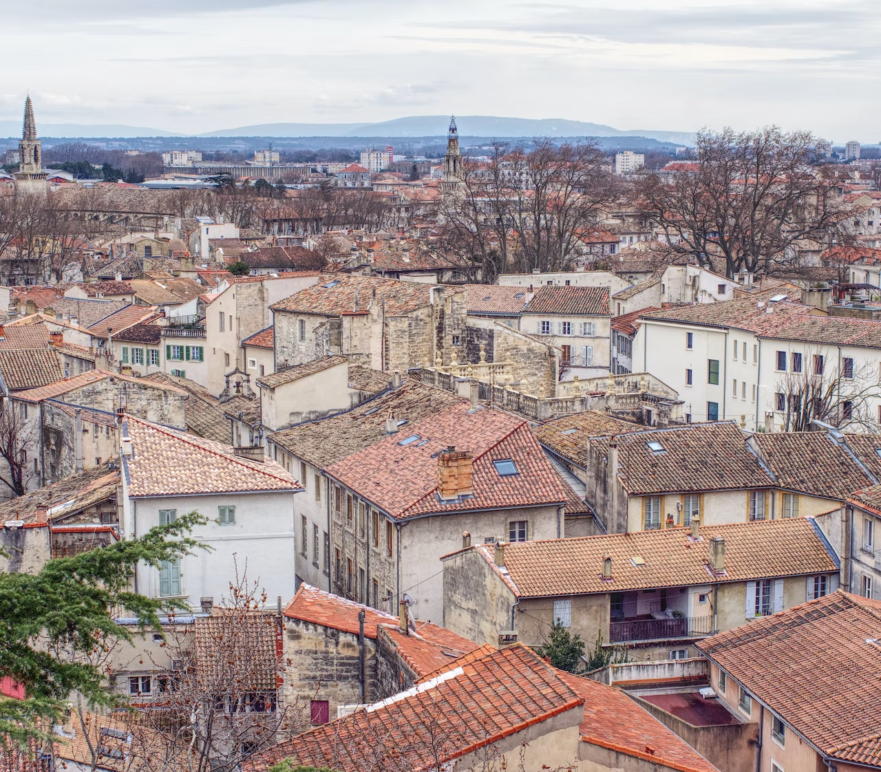 avignon