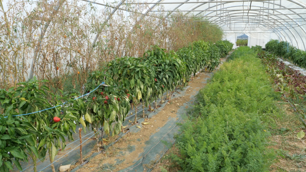 de ceze agri