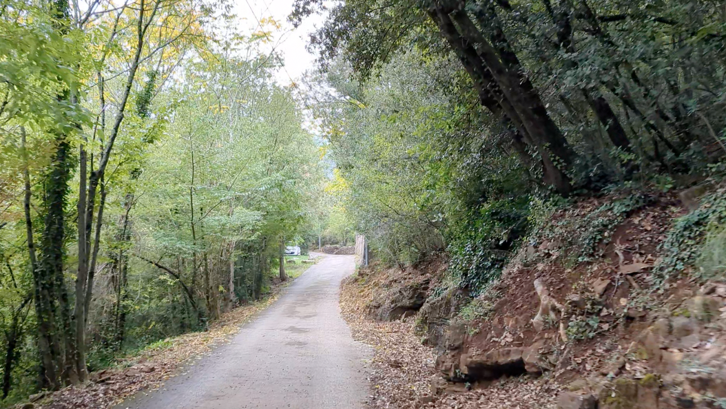de ceze foret