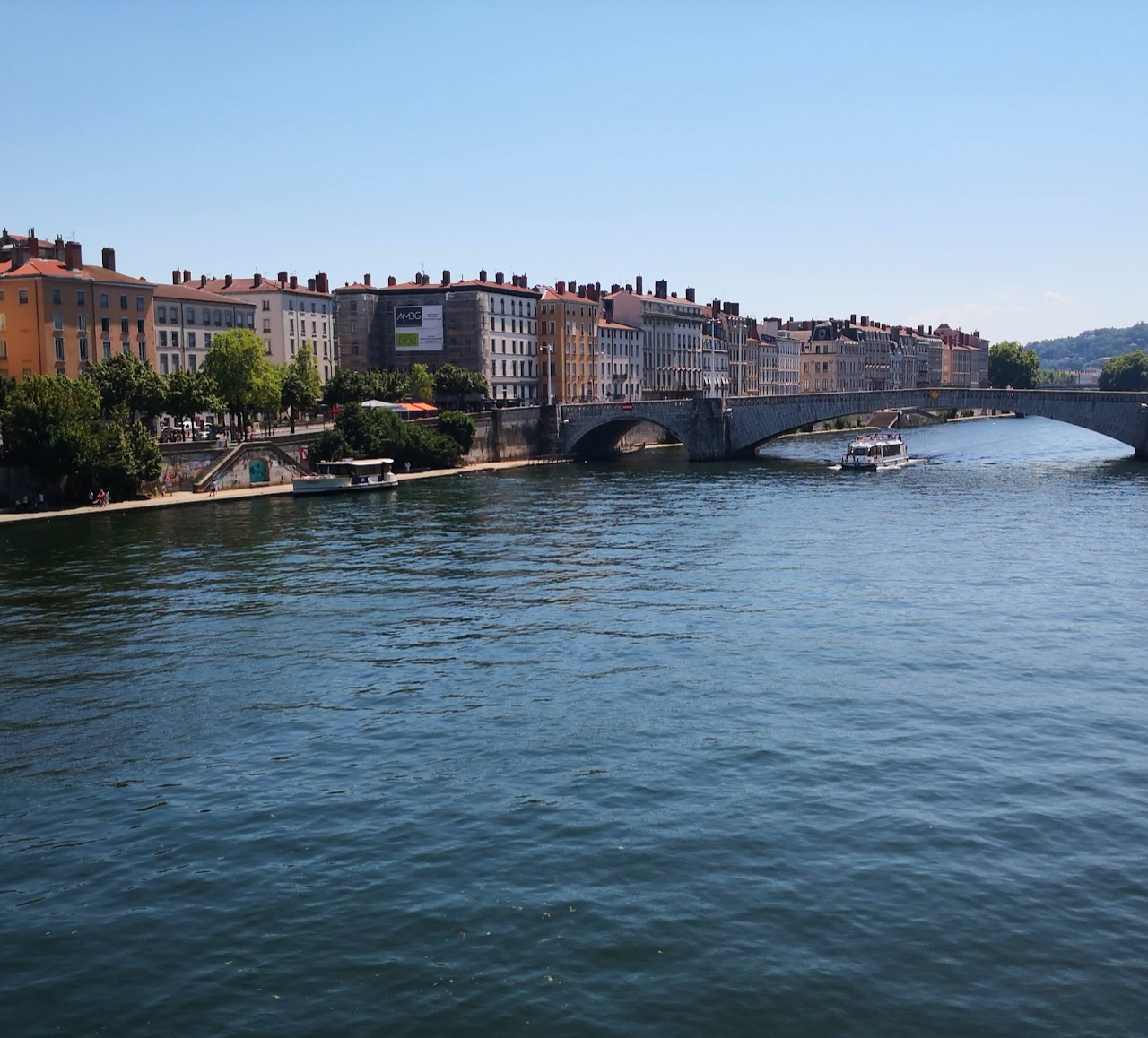 lyon1