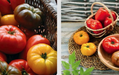 tomates