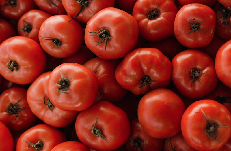 tomates3
