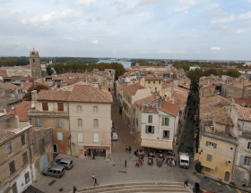 arles1