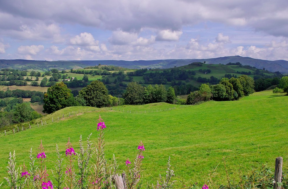 cantal