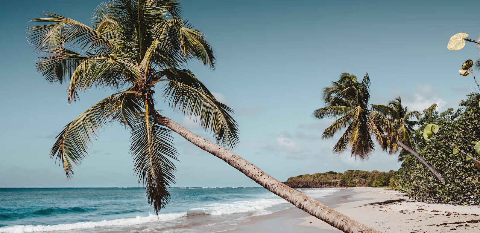 martinique