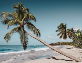 martinique
