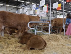 Agriculture 1