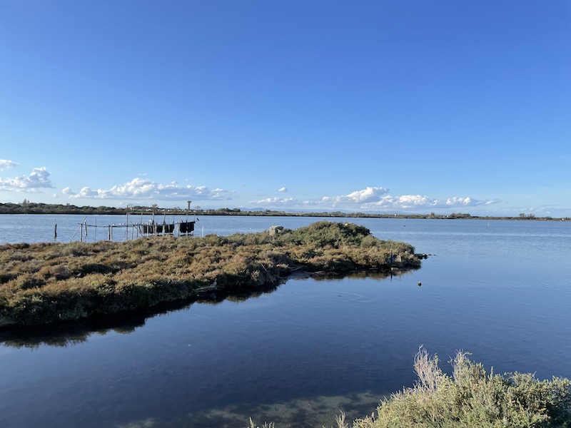 Etang peche mejean ©Jeremy Flament