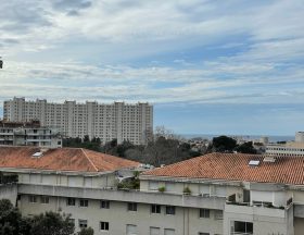 Massilia H 1