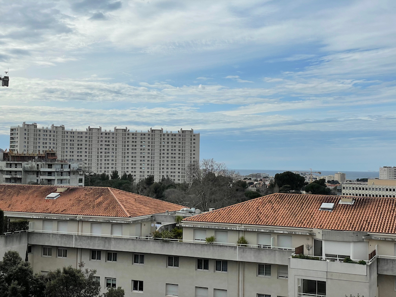Massilia H 1