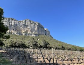 Vignes pic saint loup ©Jeremy Flament