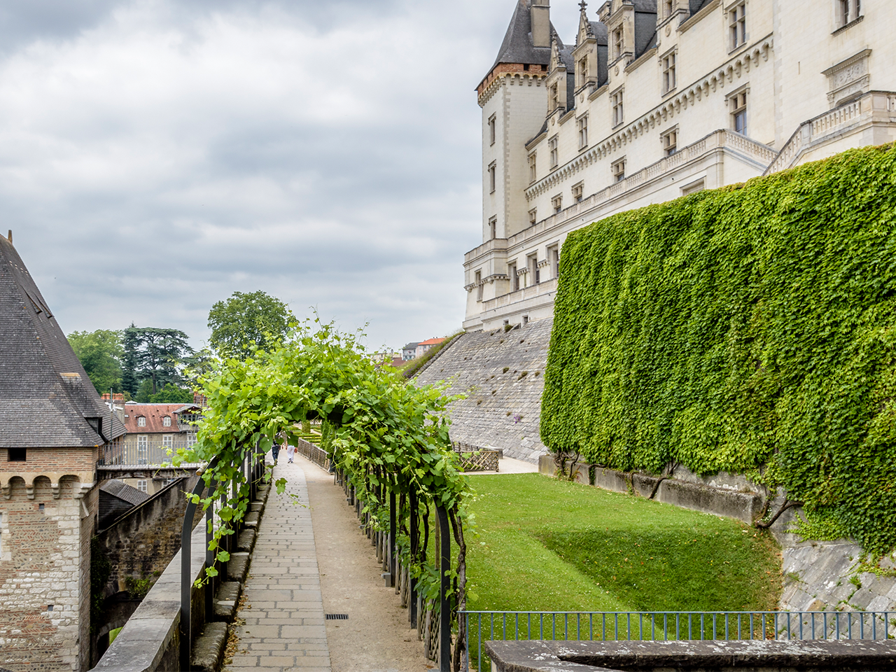 Dec arb chateau pau jardins plantes JF Lairez
