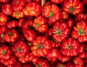Capture decran 2023 08 01 a 16.51.17