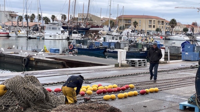 Grau du roi port petr peche pecheur 2