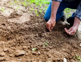 Agriculture durable