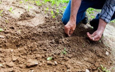 Agriculture durable