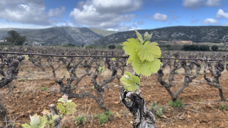 Vallée de l'hérault tourisme 1 ©Jérémy Flament