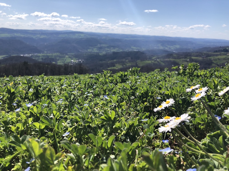 Vallée du Lot Lozère ©Jeremy Flament