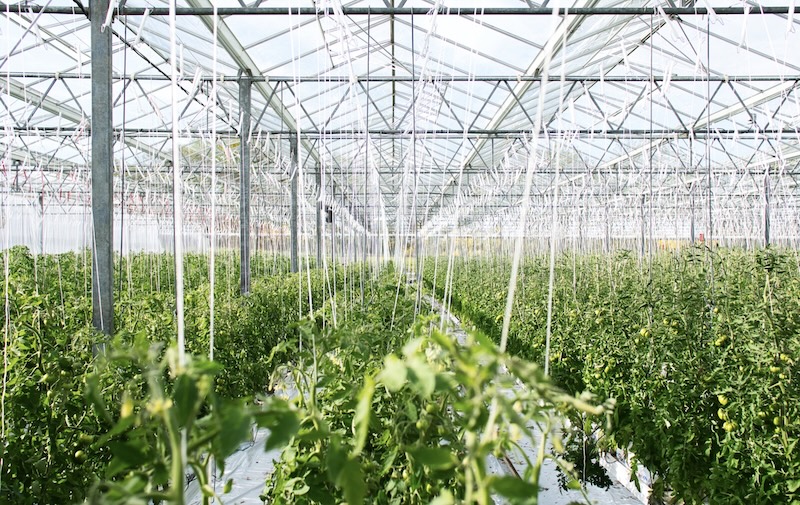 agri2
