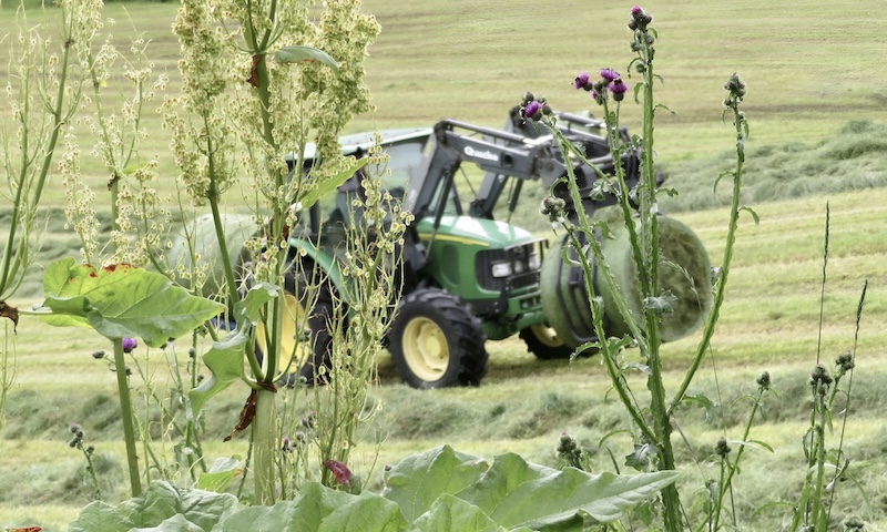 agri3