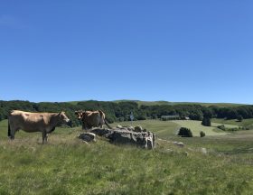 Aubrac paysage ©Jérémy Flament