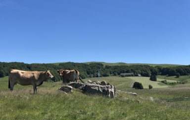 Aubrac paysage ©Jérémy Flament