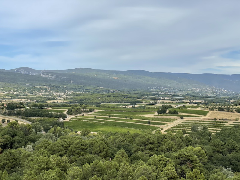 Cultures Gordes Vaucluse ©Jérémy Flament