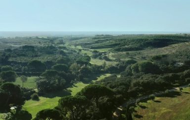 TERRAIN