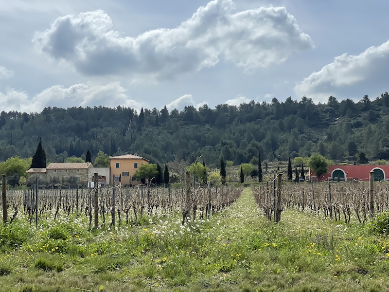 Vignes aude ©Jérémy Flament