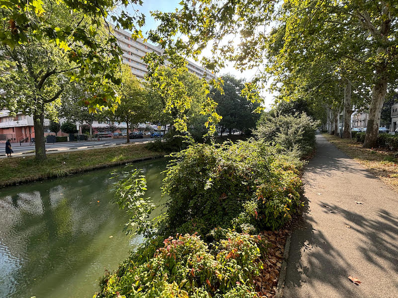 photo toulouse 3
