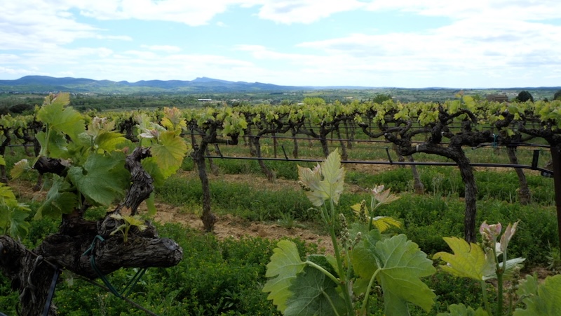 agriculture de ceze3