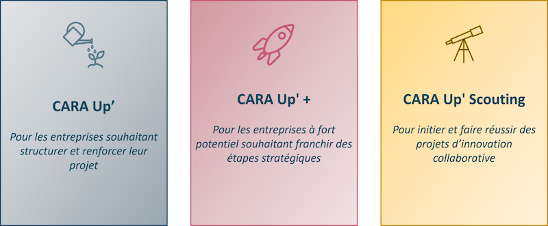 Lyon Cara UP Plus 2