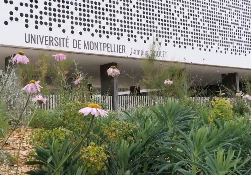 Voeux université de Montpellier Triolet 2