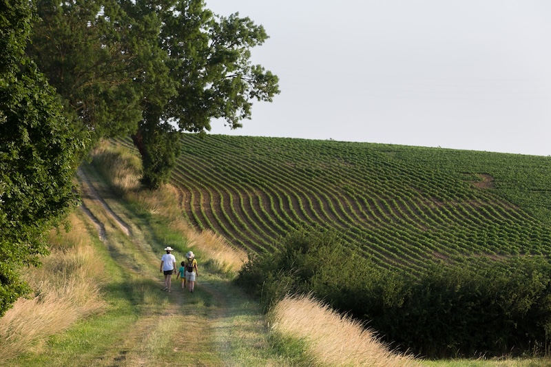 Haute garonne tourisme Cyclotourisme 6