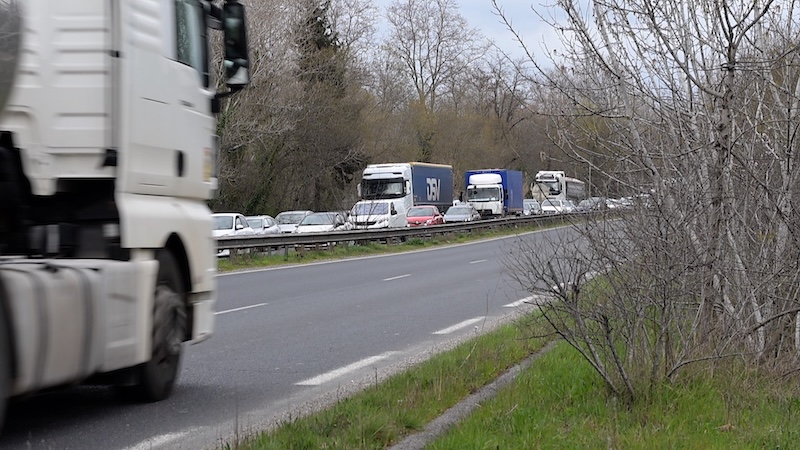 asso vinci