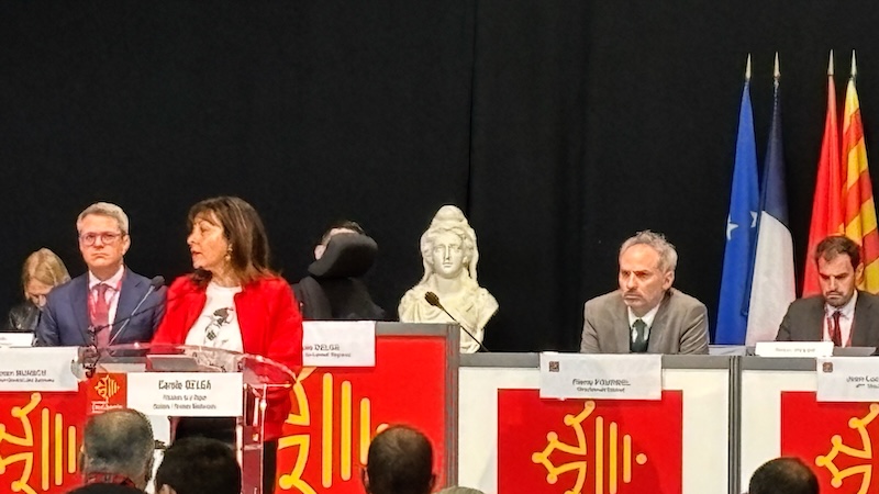 delga budget11