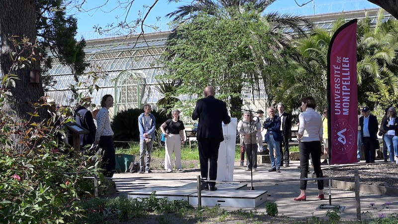 jardin des plantes 4