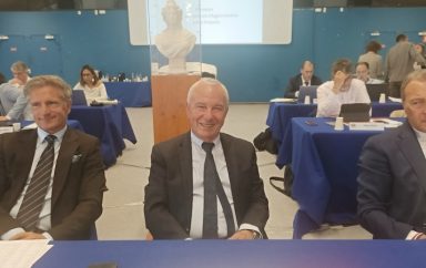 mini leonetti