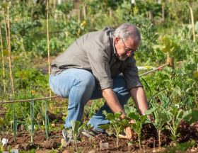 Agriculteur alimentation Bio Région Sud