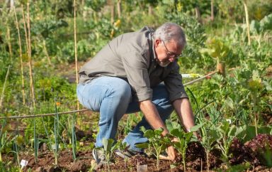 Agriculteur alimentation Bio Région Sud