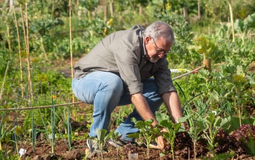 Agriculteur alimentation Bio Région Sud