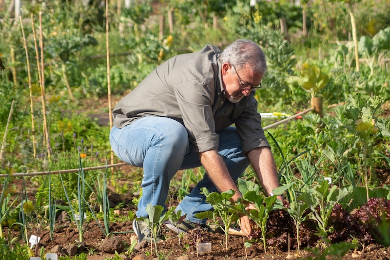 Agriculteur alimentation Bio Région Sud