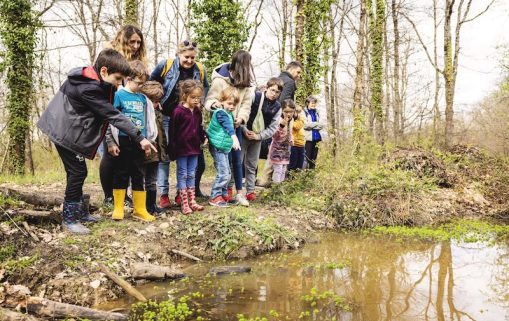 Animation Frequence Grenouille Maison Biodiversite Foret Buzet Alis Mirebeau 14 1