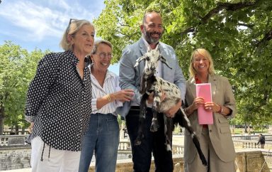 Nimes journées des saveurs Main Article