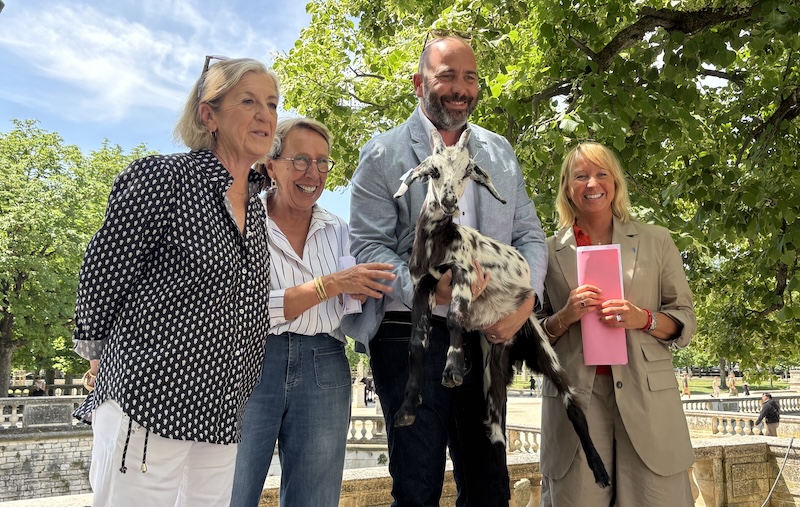 Nimes journées des saveurs Main Article