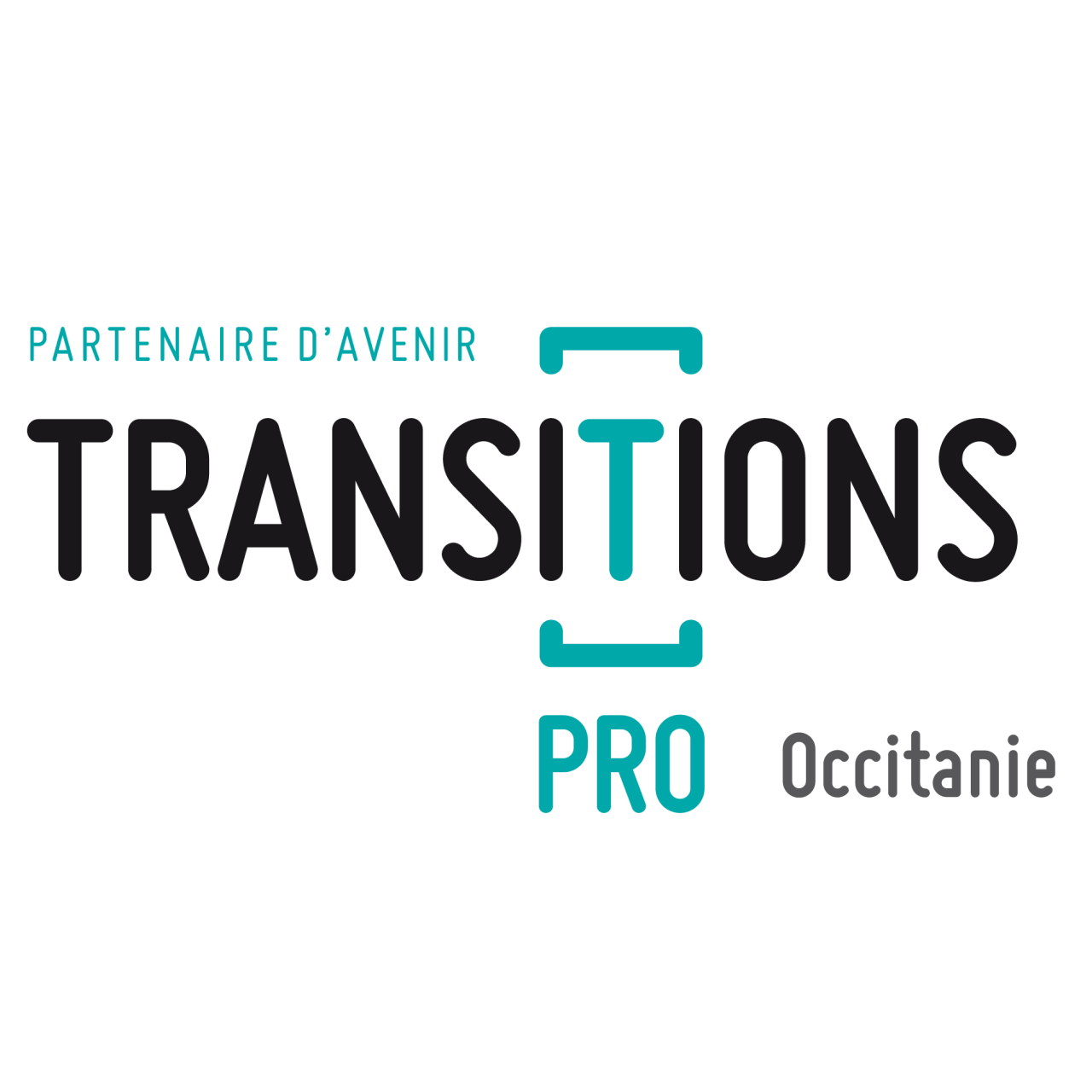 Transition pro