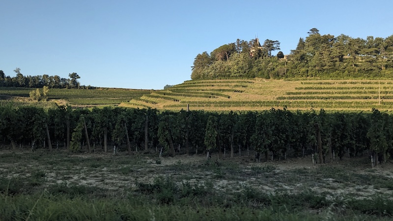 agriculture2
