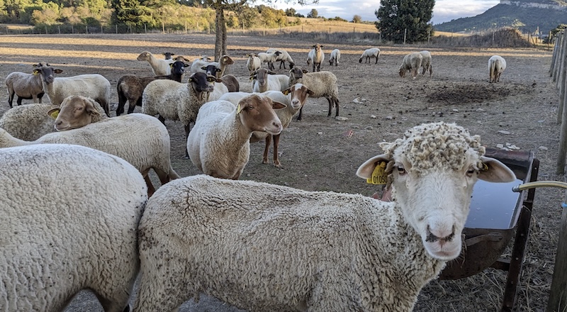 agriculture3