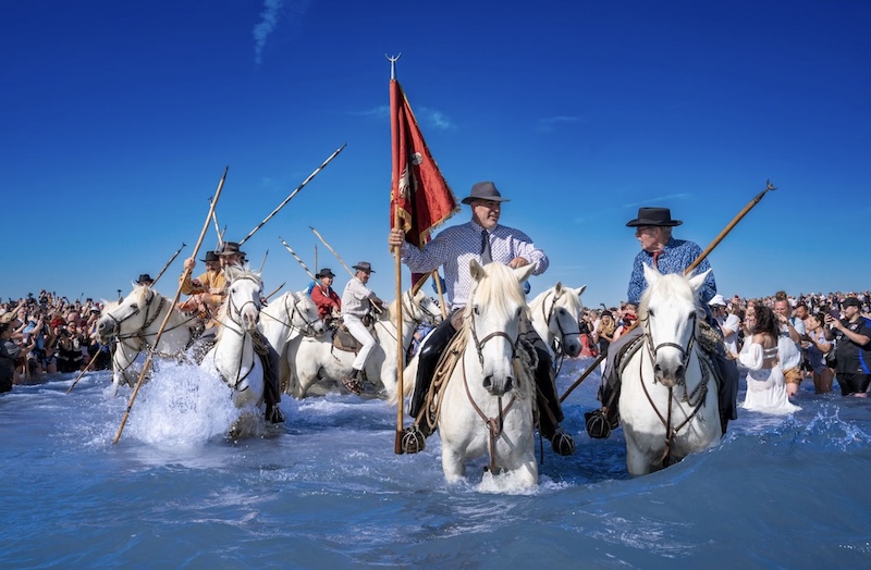 camargue