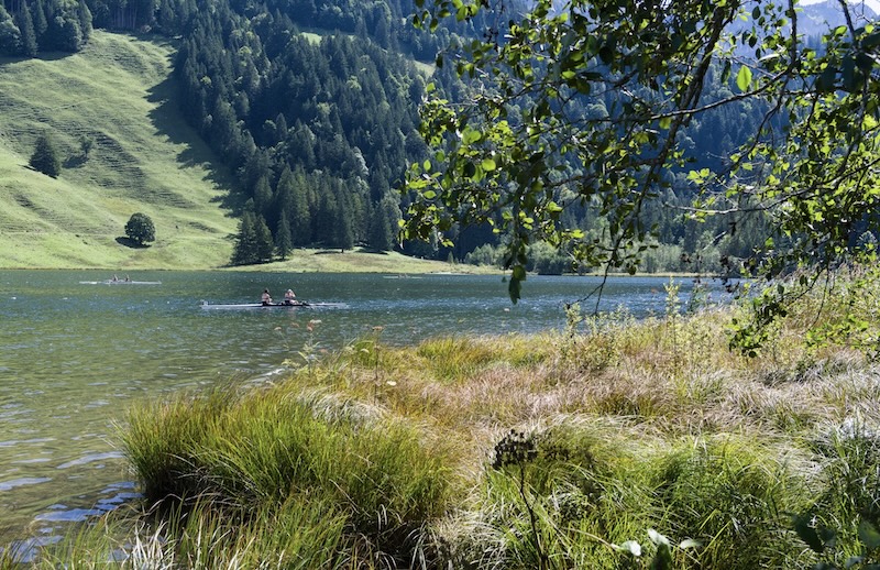montagne été